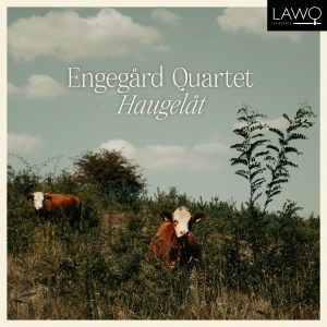 Haugelåt